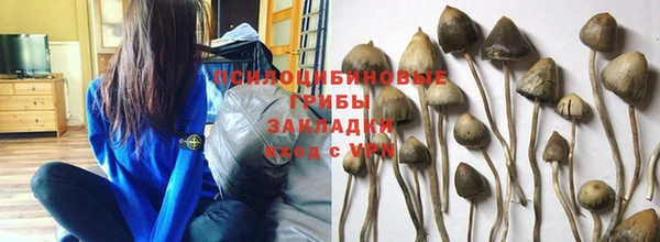 ECSTASY Красноперекопск